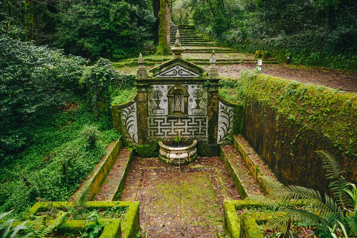 10 Tips for a Bucaco Forest Day Trip from Coimbra: 2026 Guide