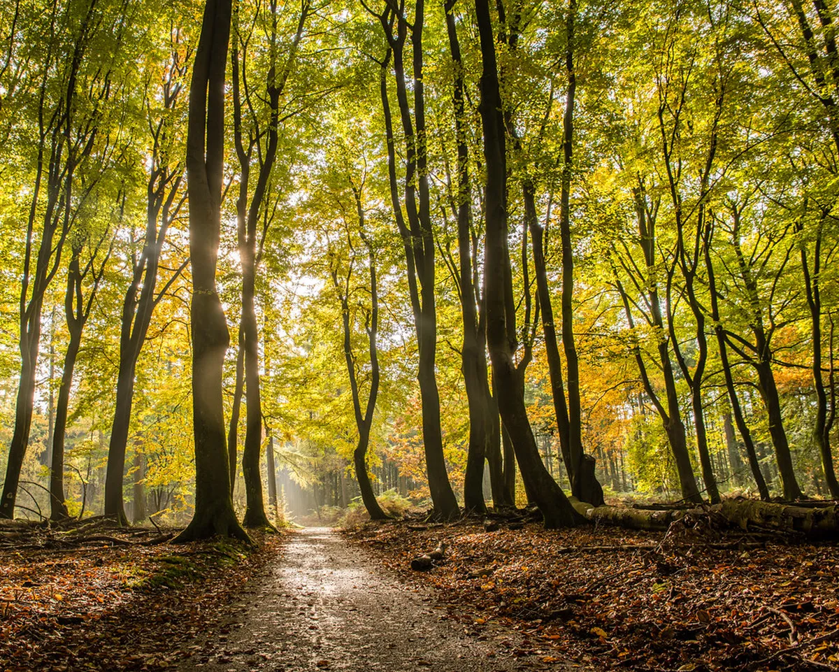 Peaceful Parks in Braga Old Town, Portugal in 2025