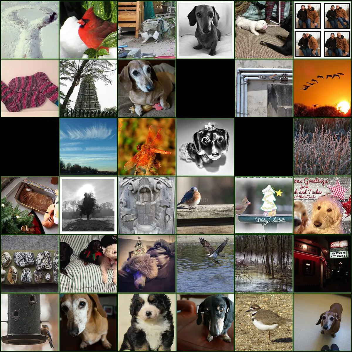 Fun Things to Do with Kids in Braga: A 2025 Family Guide