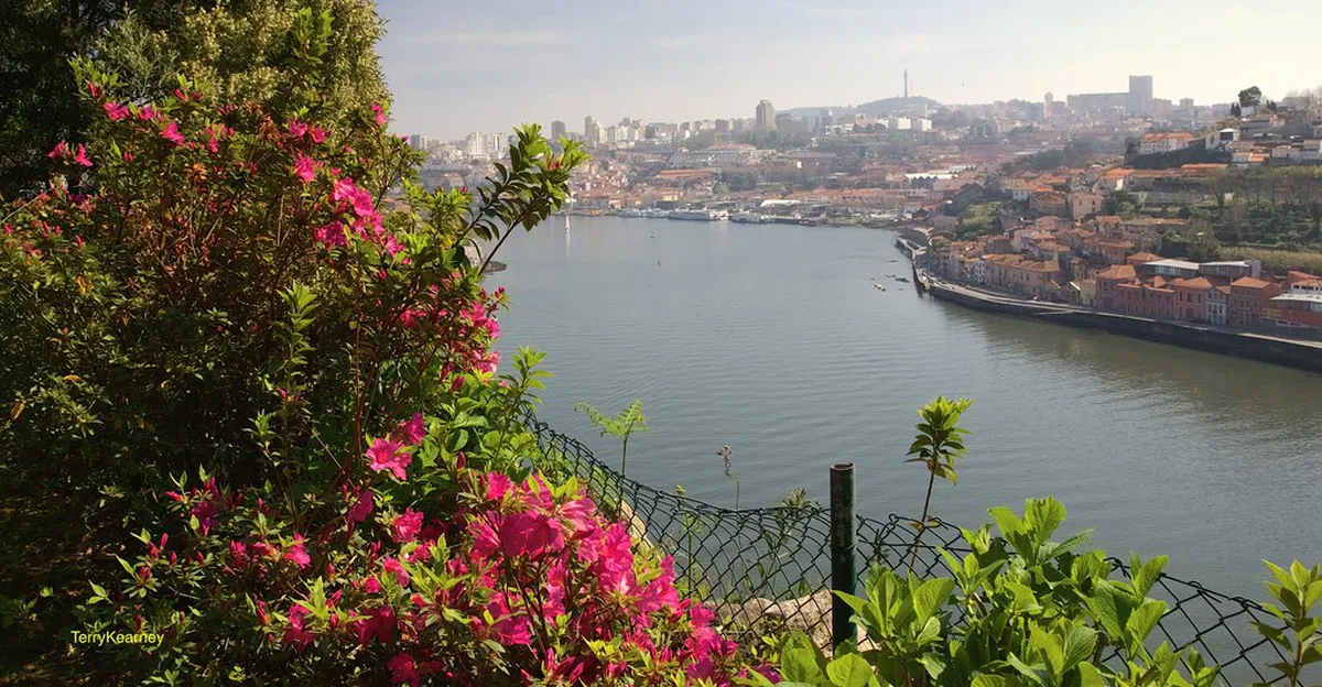 Discover Top Urban Art Spots in Braga Old Town 2025