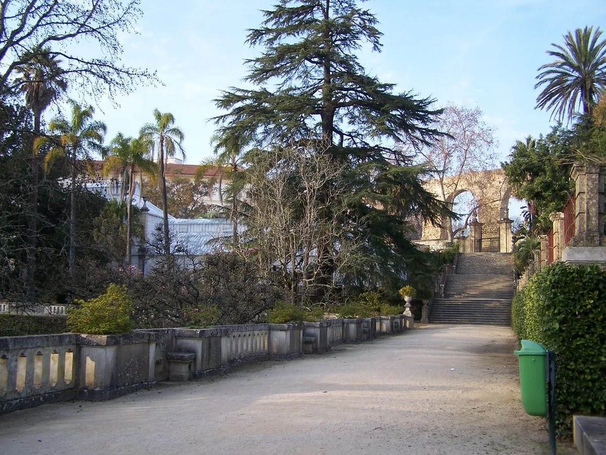 Lush pathways winding through Coimbra's Jardim Botânico with elevated city views beyond the treetops