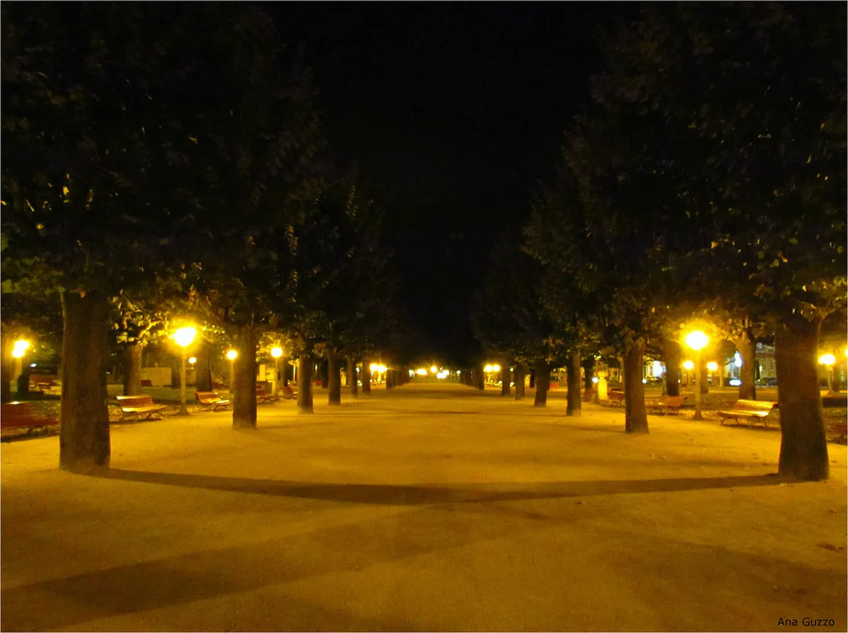 Best Coimbra Walking Tours in 2025: Explore Portugal's History