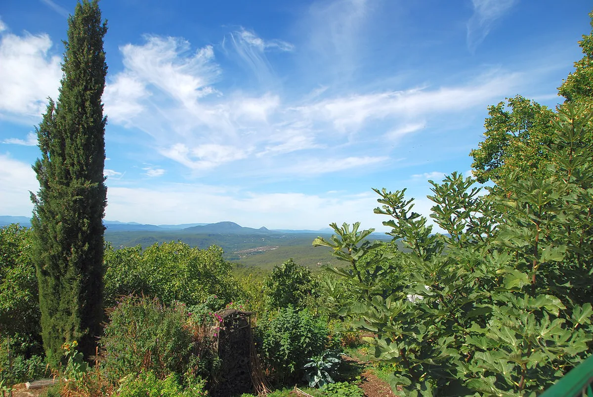 Discover Coimbra's Best Street Art Spots in 2025