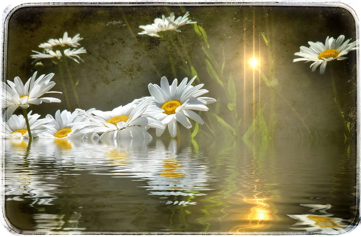 Best Things Baixa Coimbra Offers in 2025: A Guide