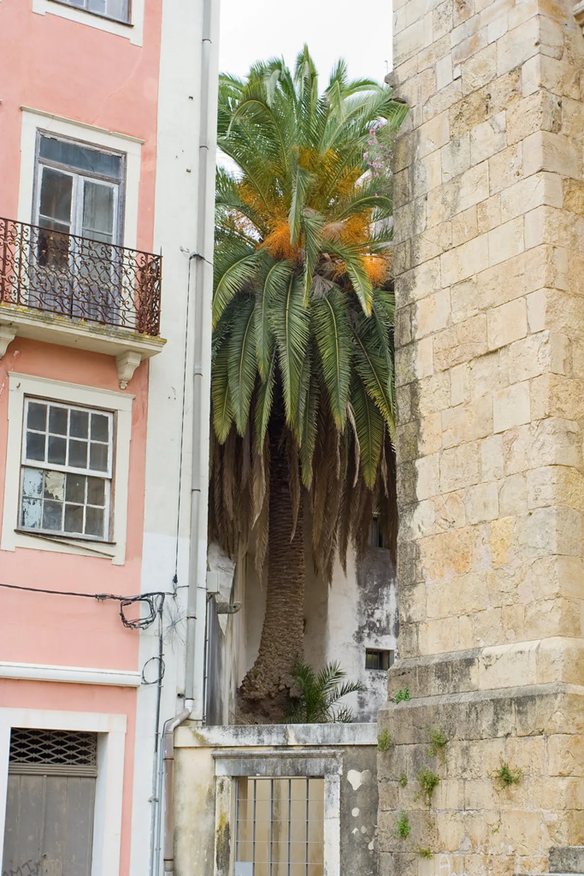 Discover Coimbra's Hidden Gems in 2025