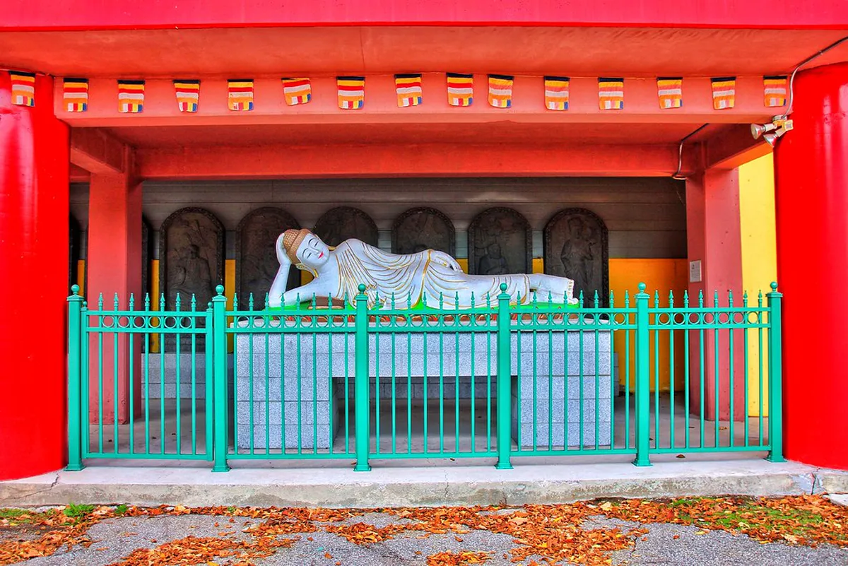 Explore Coimbra: Best Free Walking Tours Portugal 2025