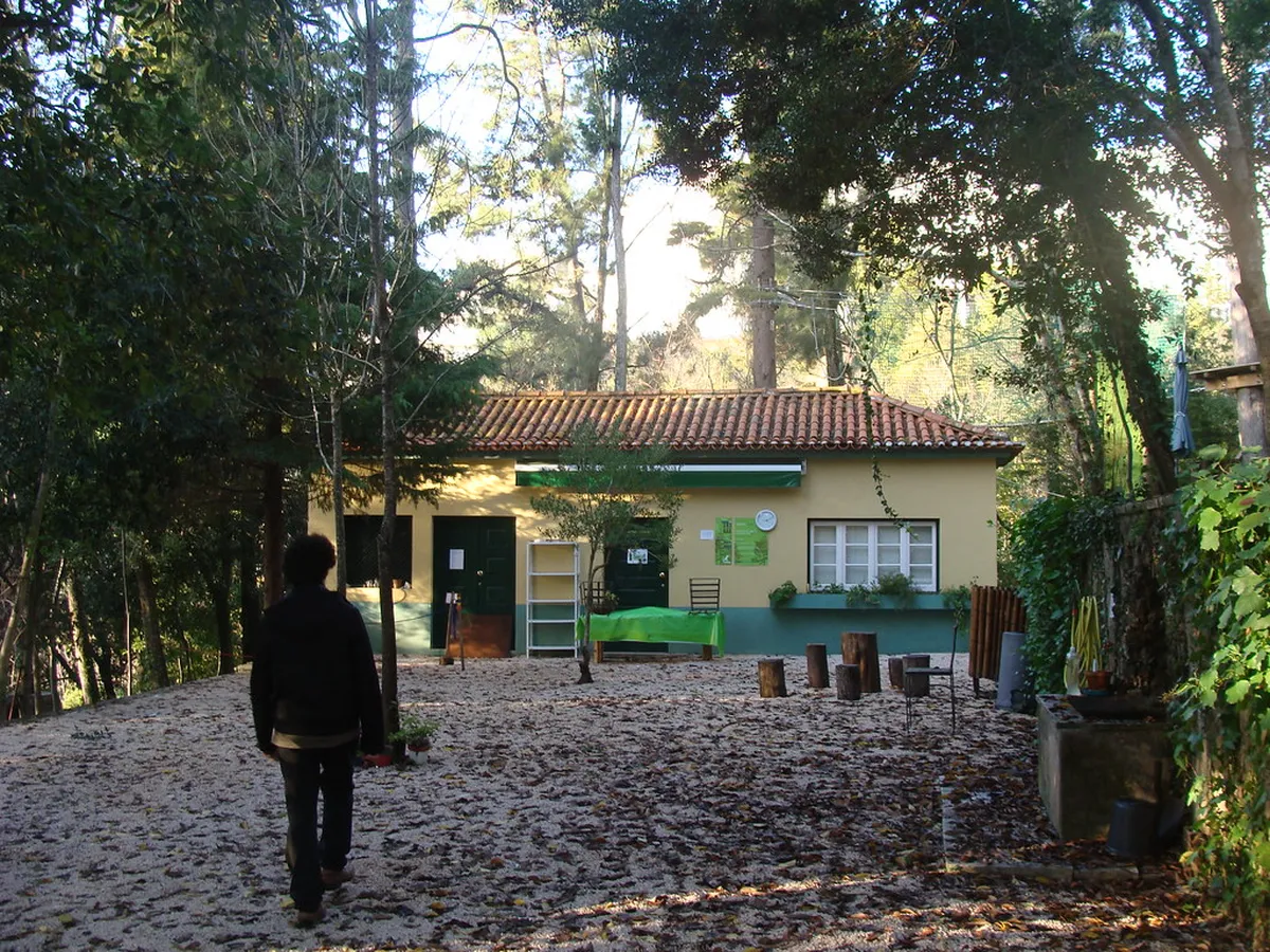 Lush green pathways inside the historic Coimbra Botanical Garden, perfect for families exploring nature