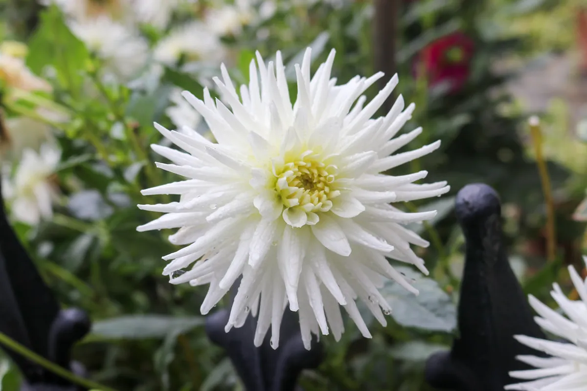 Discover Unique Local Artisan Products in Coimbra 2025