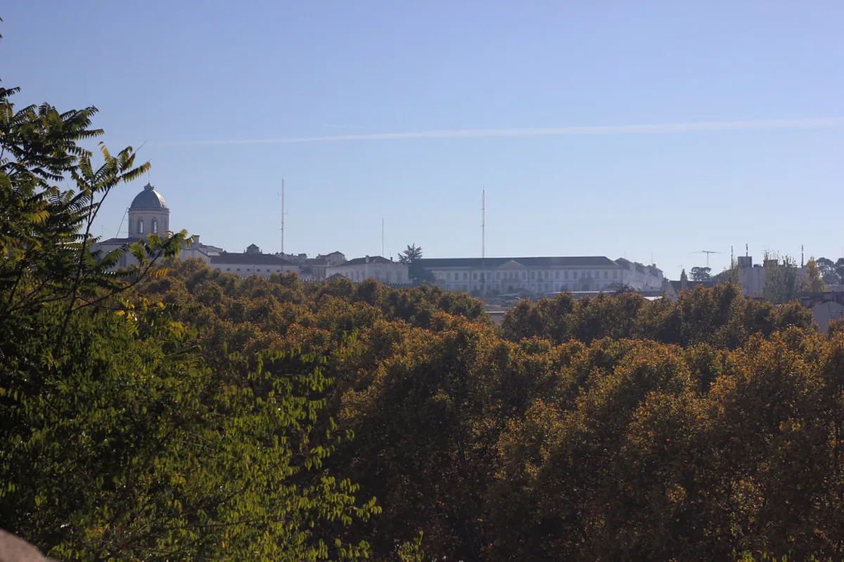 Lush green forest near Coimbra, the perfect day trip destination accessible by rental car