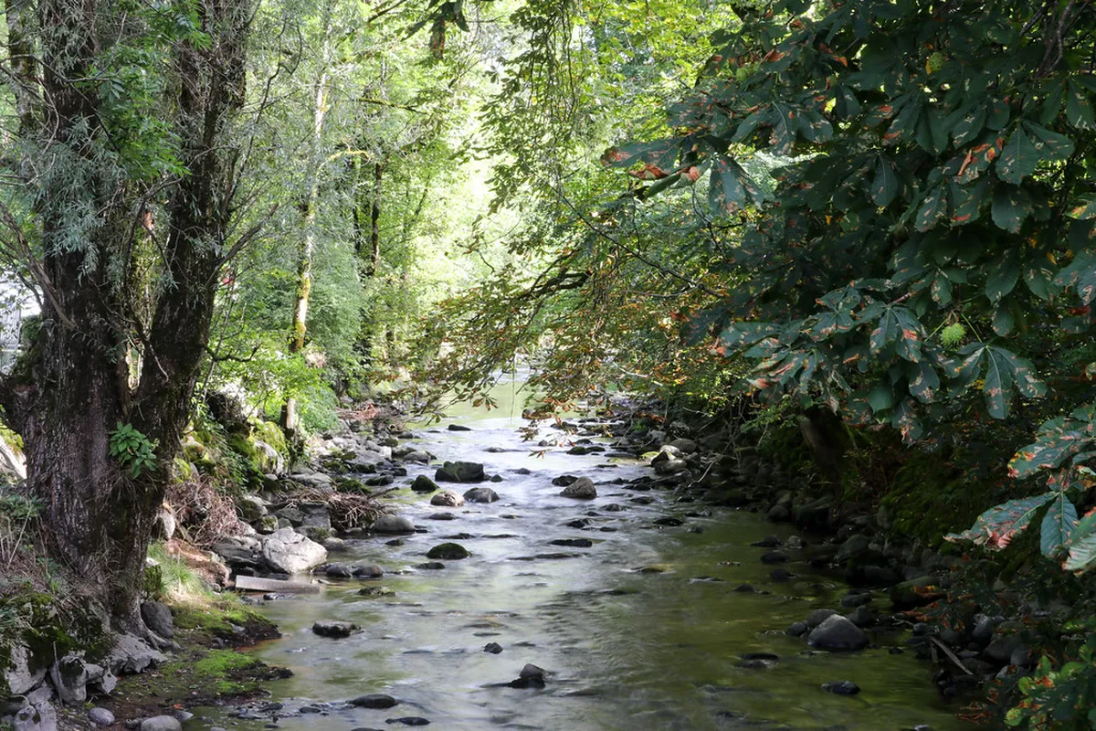 Visiting Alta Coimbra University Area: A 2025 Guide