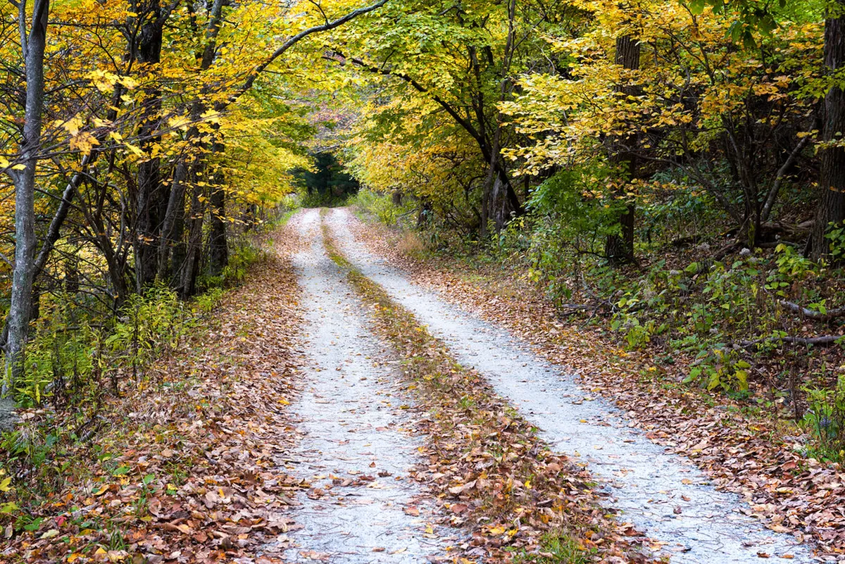 Évora's Hidden Gems: Off-the-Beaten-Path Attractions