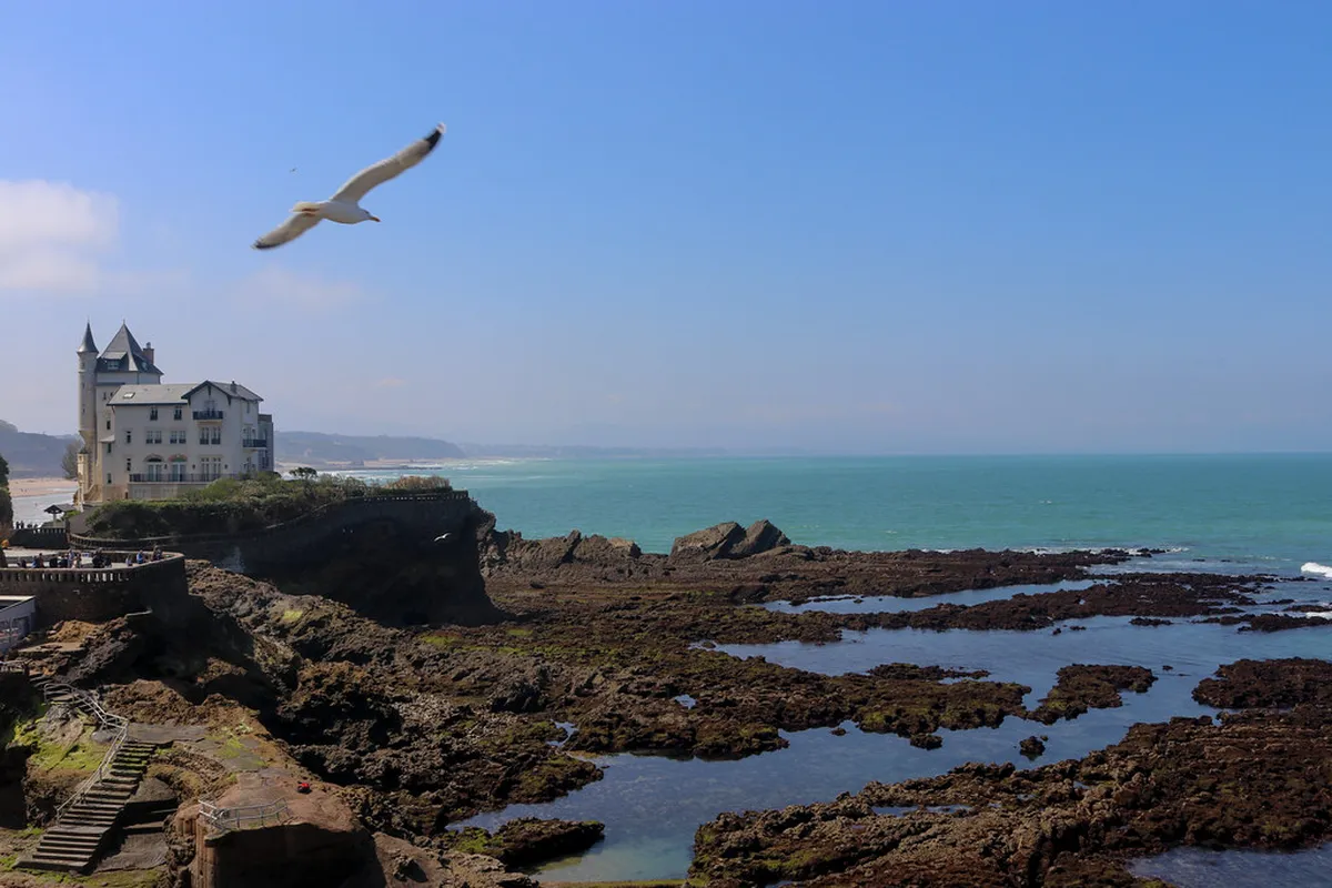 Discover Faro's Urban Art: A Vibrant Street Art Guide