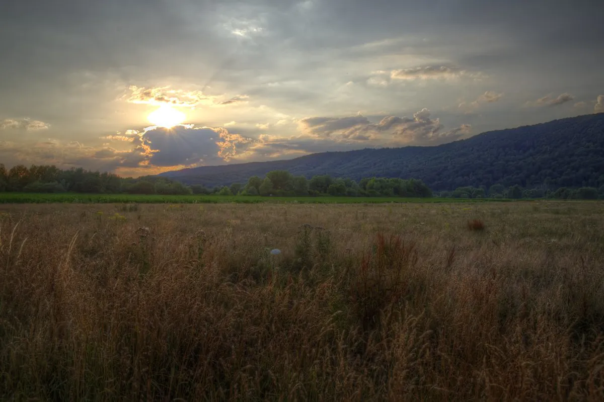 Faro Historic Centre Fun: Top Evening Activities in 2025