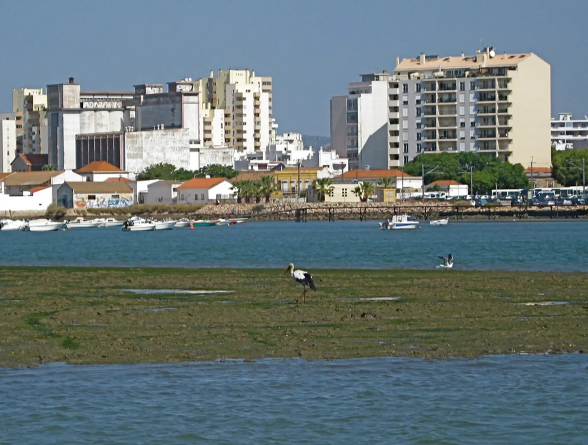 Aerial view of Ria Formosa sandbar islands and lagoon waters in summer light
