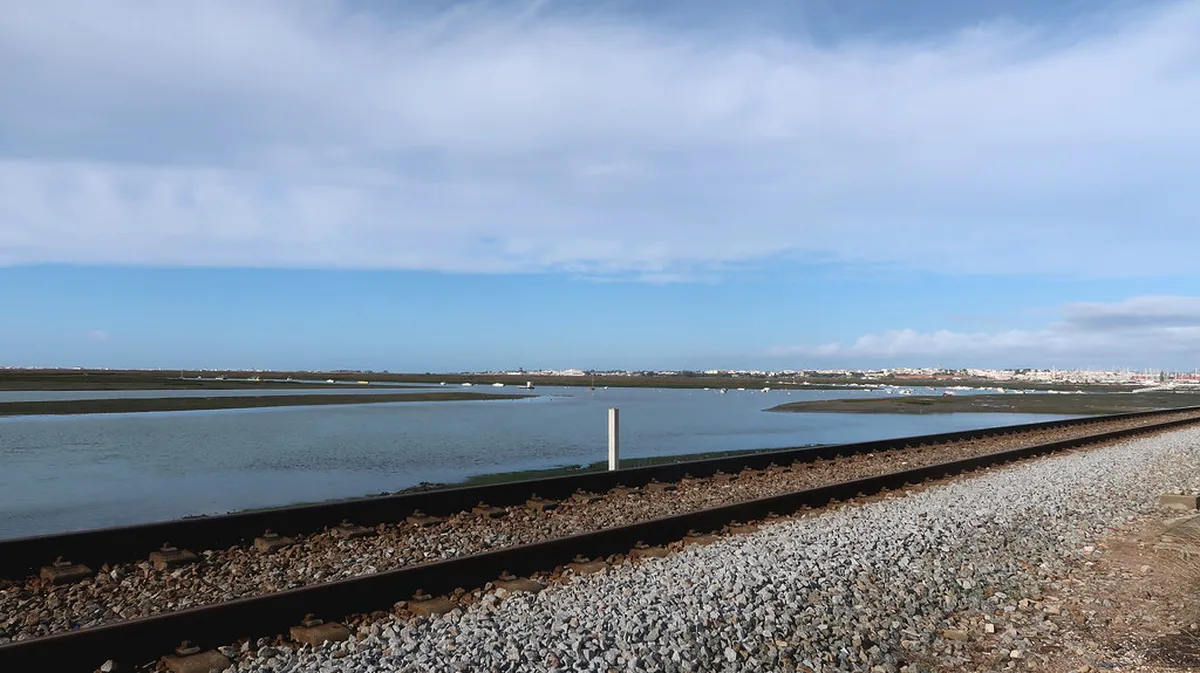 Ria Formosa lagoon at sunset with shallow waterways and coastal wetland habitat in Faro