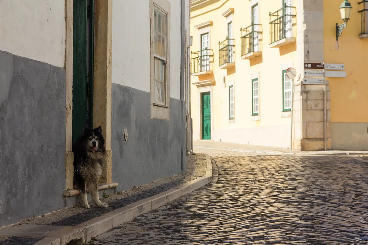 Faro Old Town Portugal in autumn with golden light illuminating the historic buildings and quiet streets