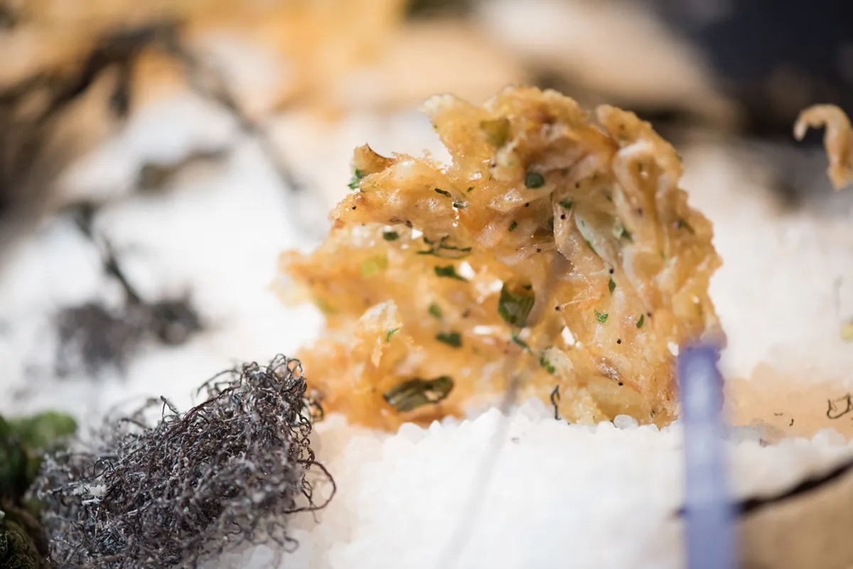 Experience the Best Festivals in Faro Historic District 2025