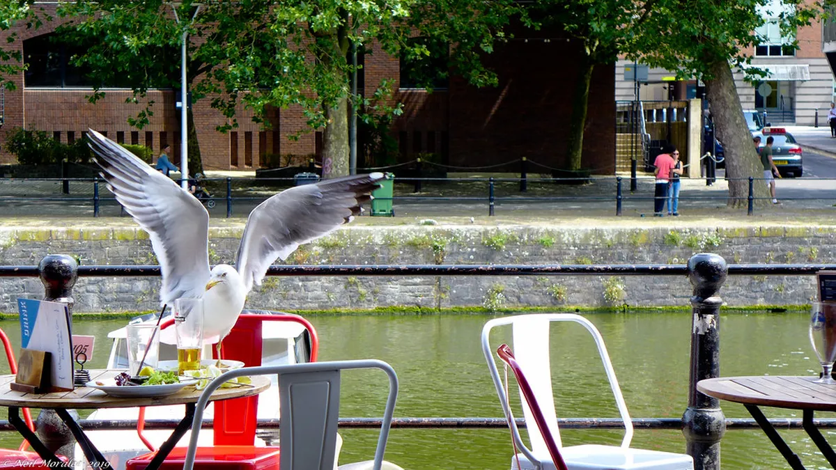 Faro Safety Advice: A Traveler's Guide for 2025