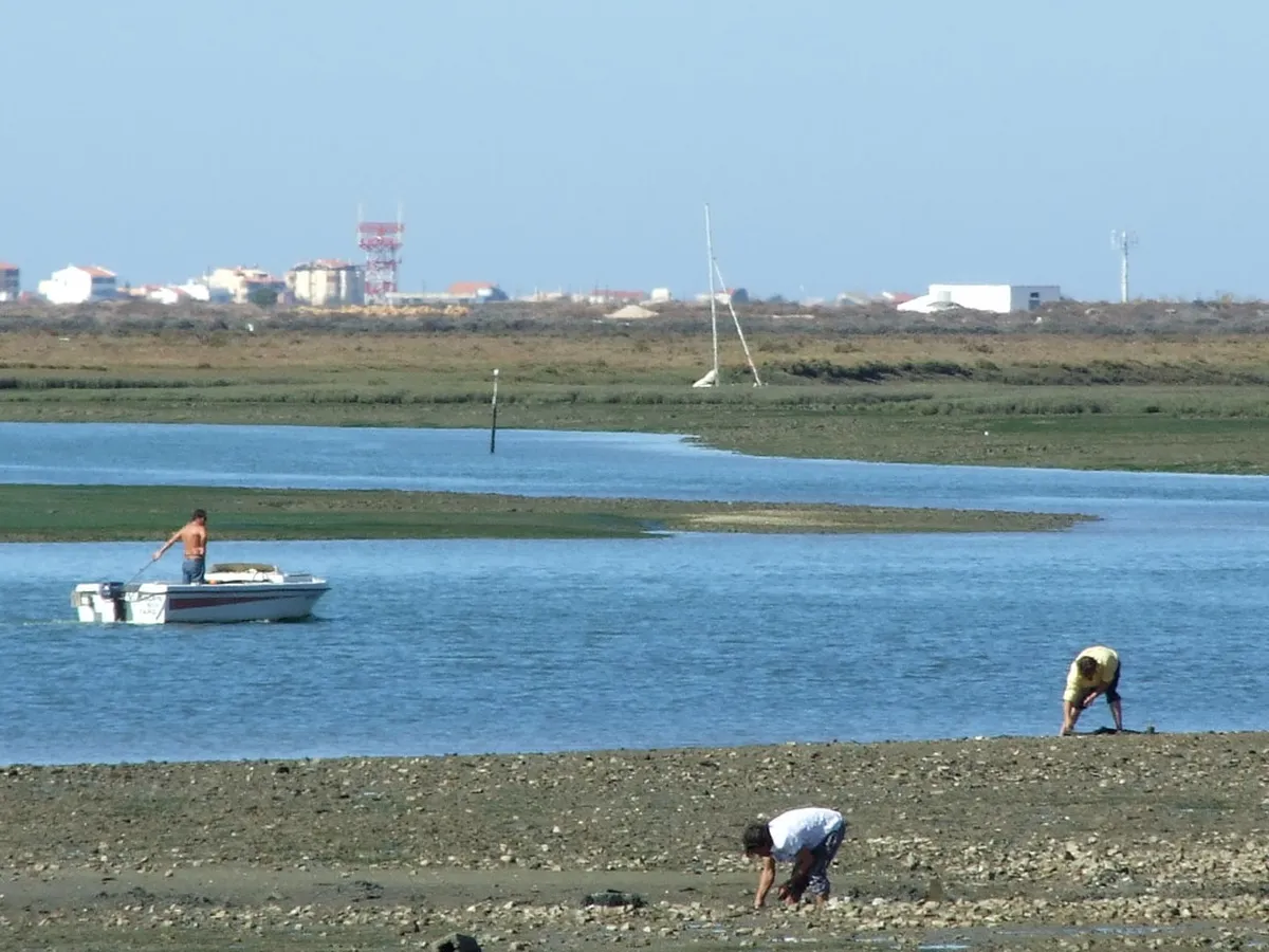 Fresh seafood catch from Faro's Ria Formosa lagoon served at a local restaurant