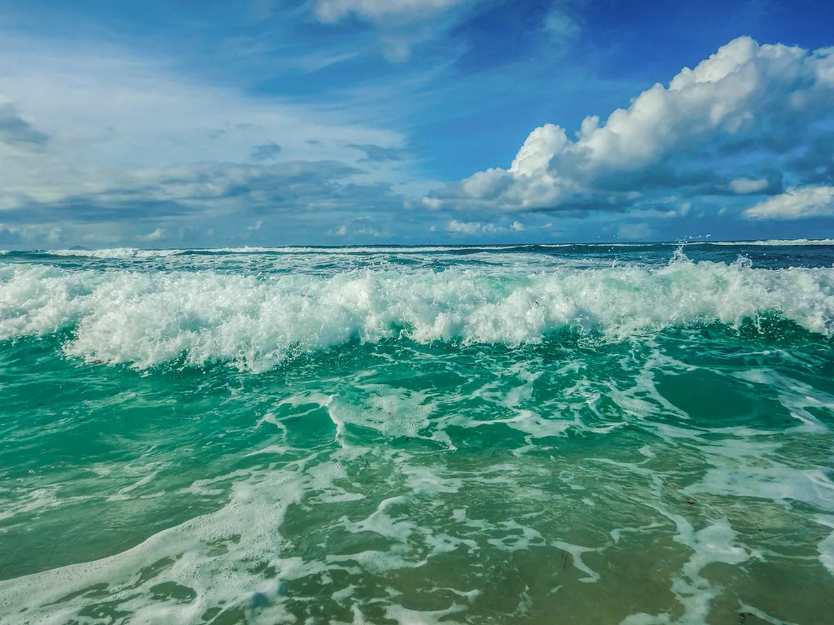 Taste Authentic Local Cuisine in Faro Old Town