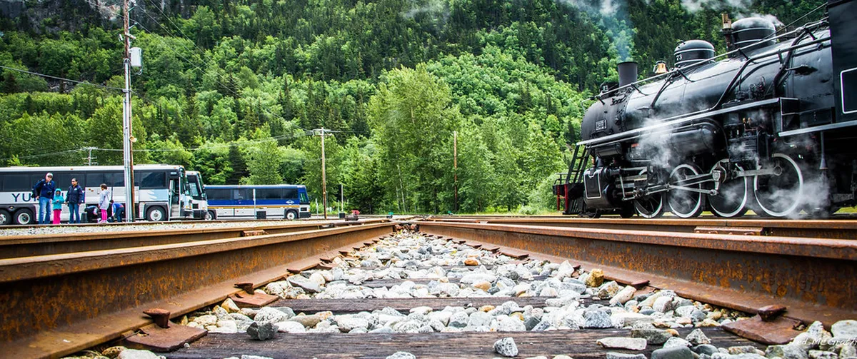 What's On in Faro Historic Center: 2025 Events Guide