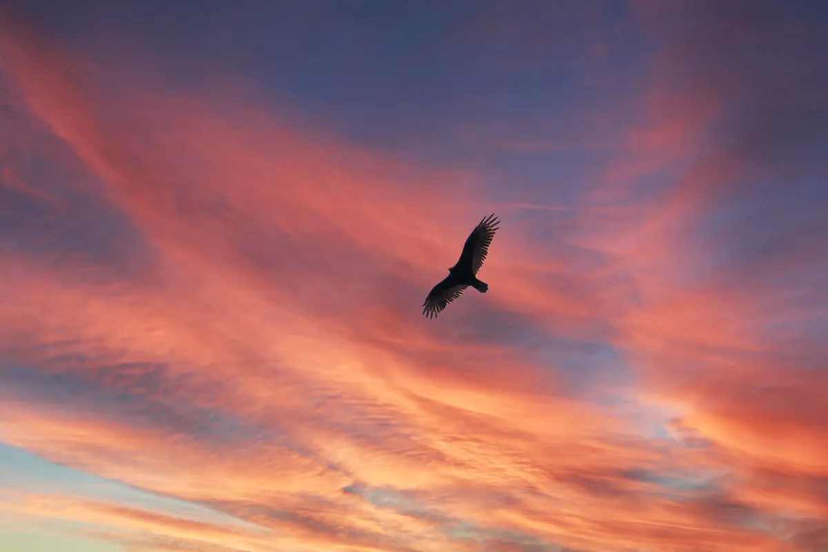 Where to Buy Local Crafts in Faro, Portugal (2025 Guide)