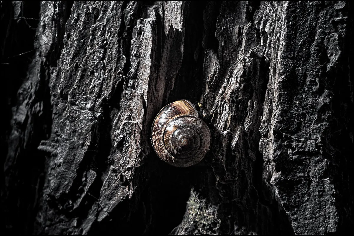 Best Photography Spots Funchal Old Town 2025