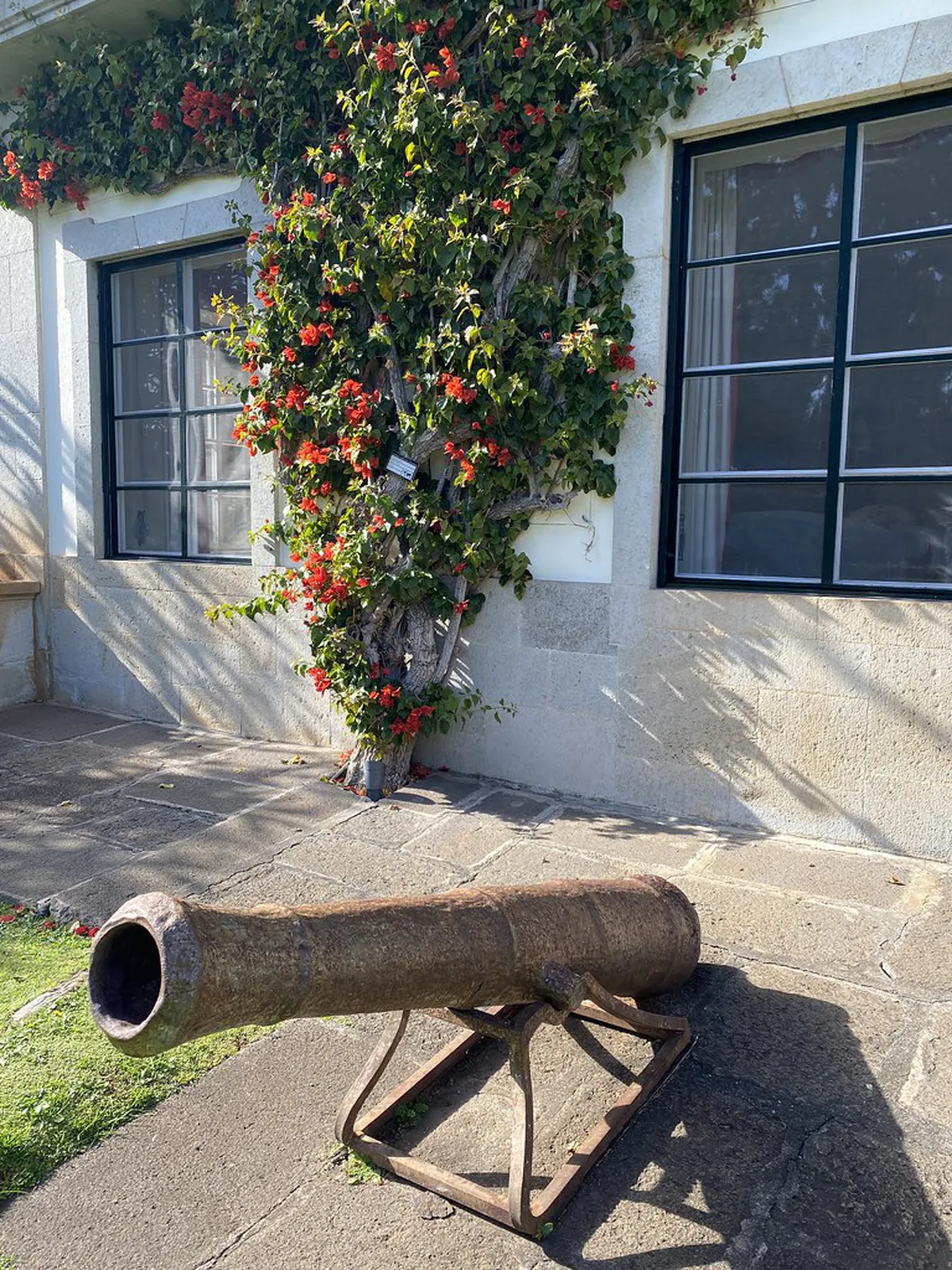 Top Boutique Hotels in Funchal Old Town for 2025