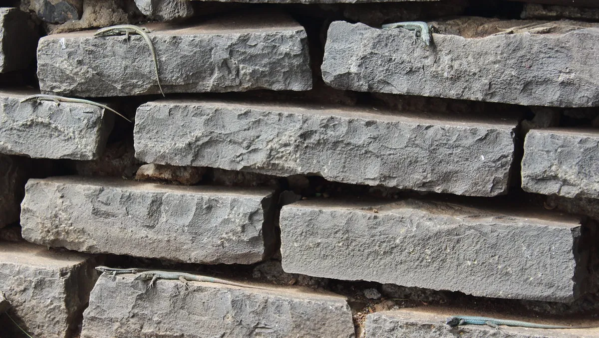 Funchal Ancient Streets Photography: Your Ultimate 2025 Guide