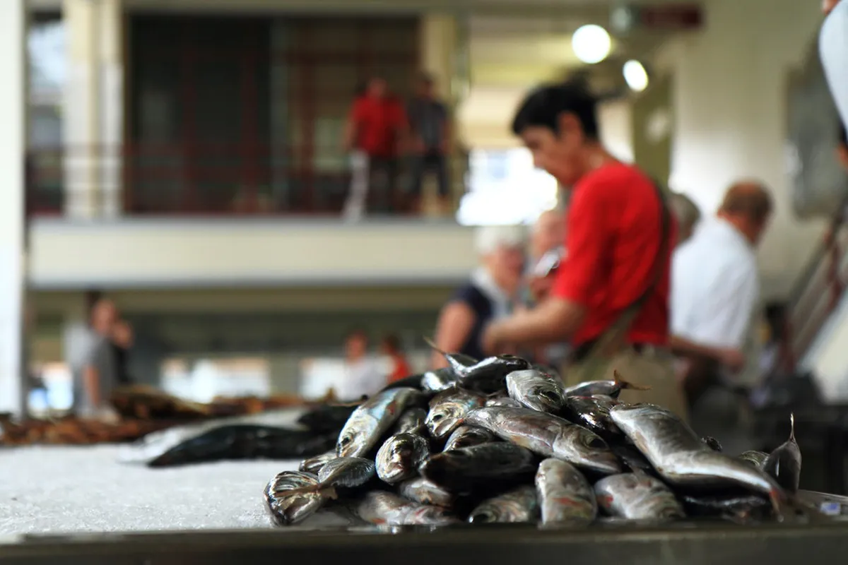Explore Funchal Market: Historic Details & Local Flavors