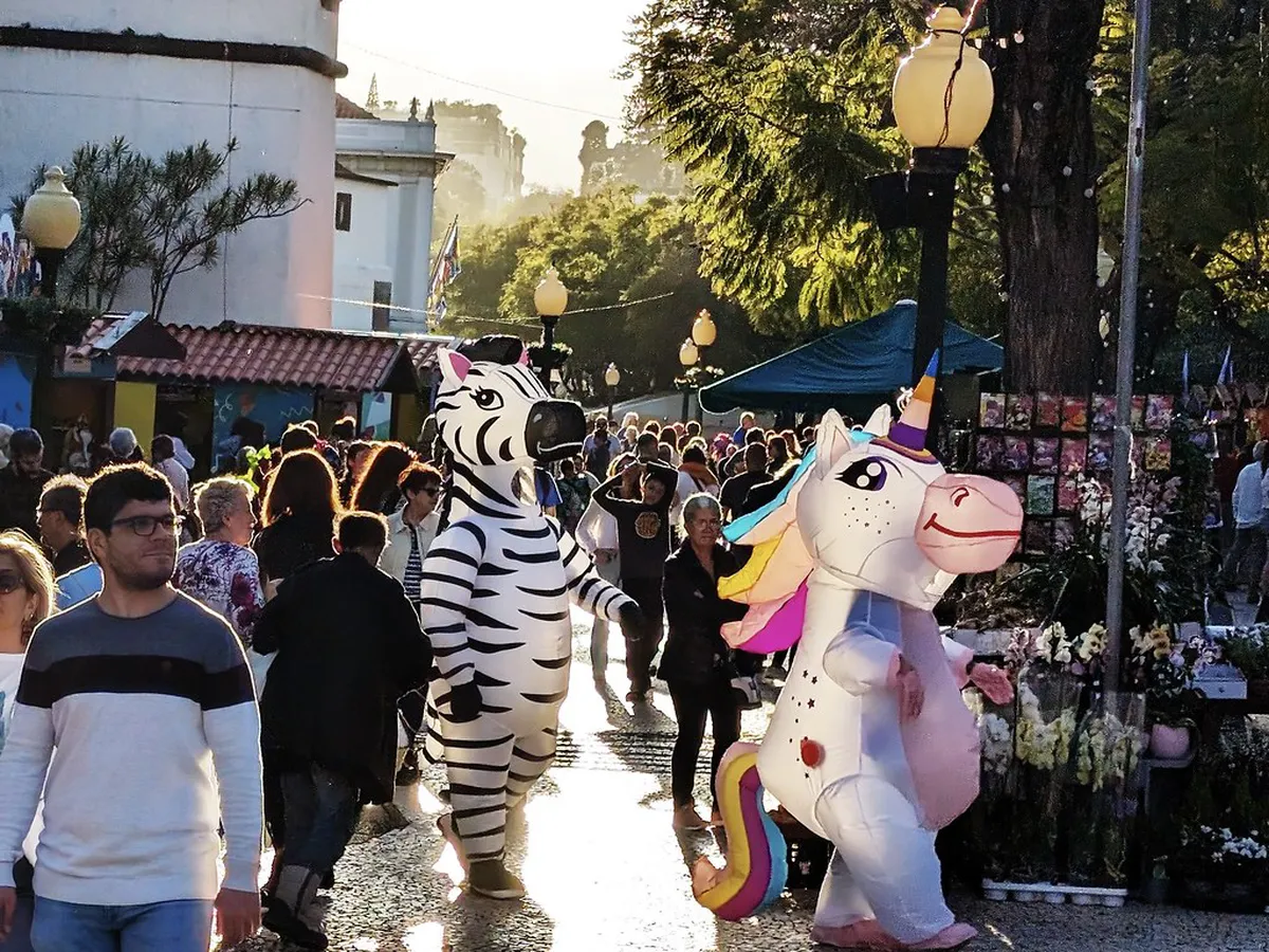 Funchal Old Town Evening Entertainment Guide 2025