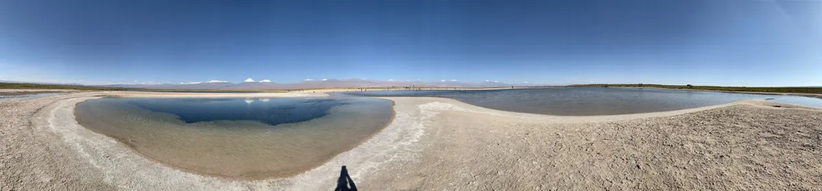 Guide to Traditional Funchal House Styles