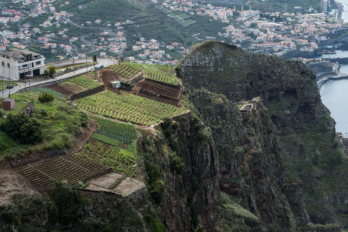 Madeiran Culture: Funchal Traditions & Local Life in 2025