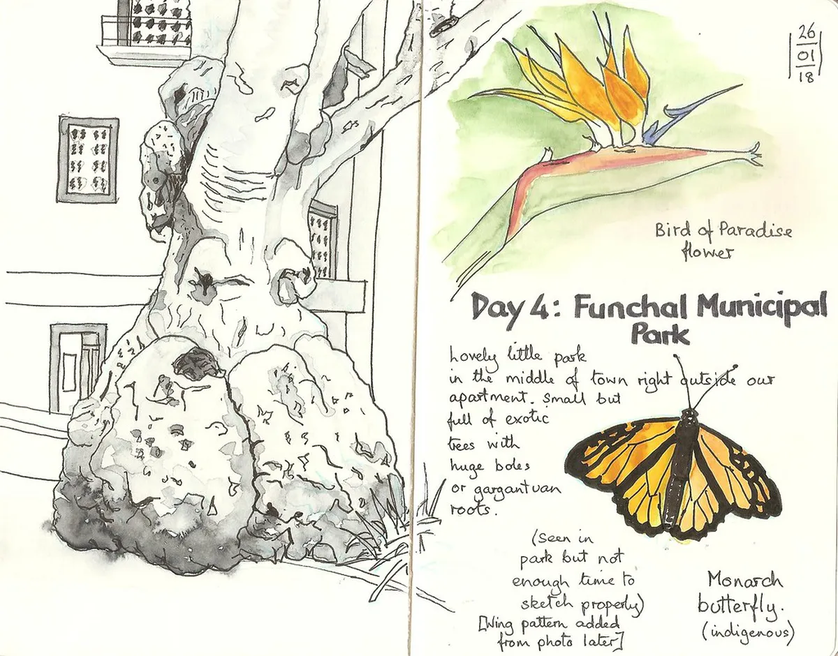 Old Town Funchal Walking Tour Map 2025: Explore Zona Velha