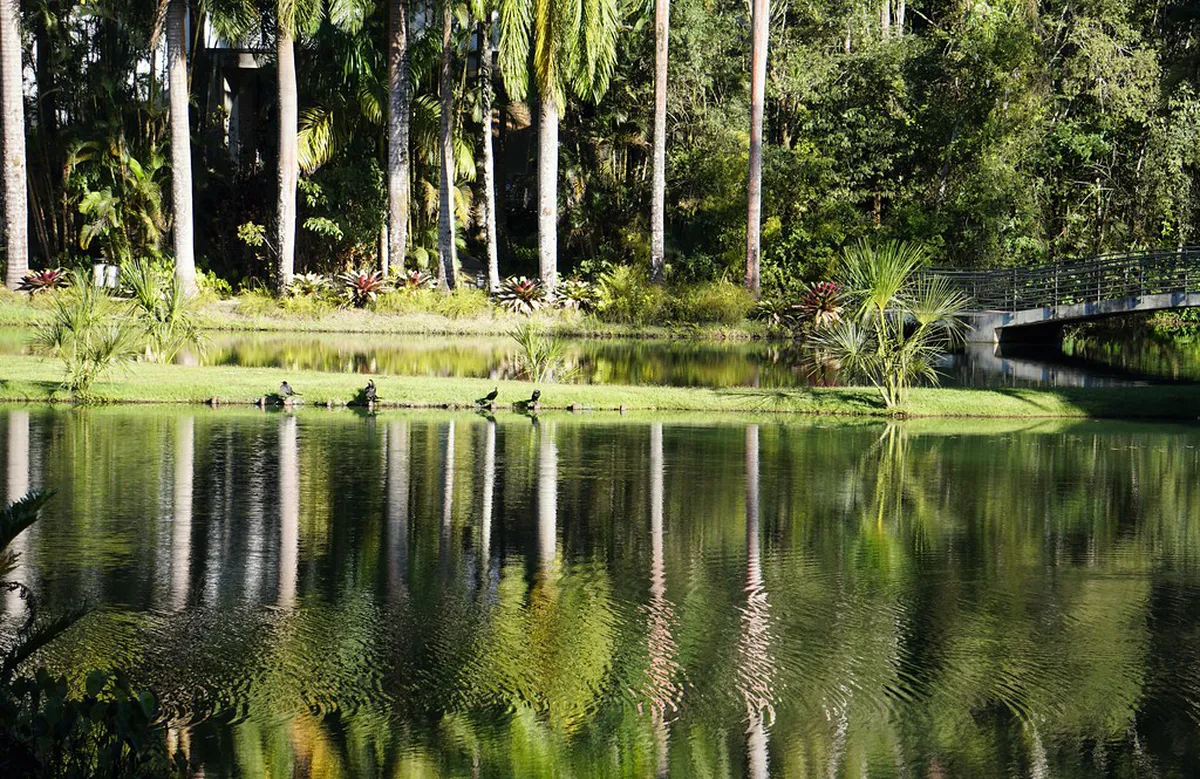 Best Walking Routes Through São Pedro Funchal 2025