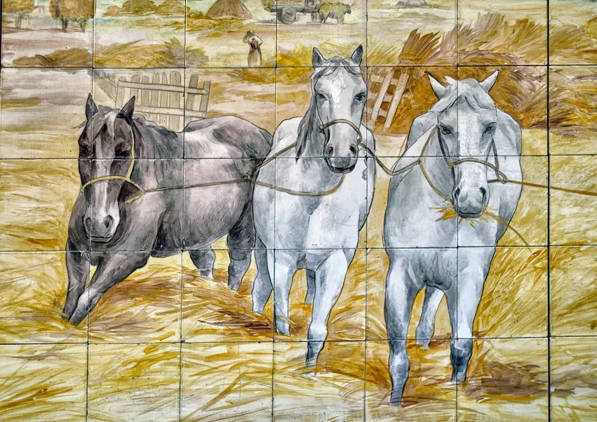 Azulejo Museum Lisbon: Your Ultimate Visiting Guide