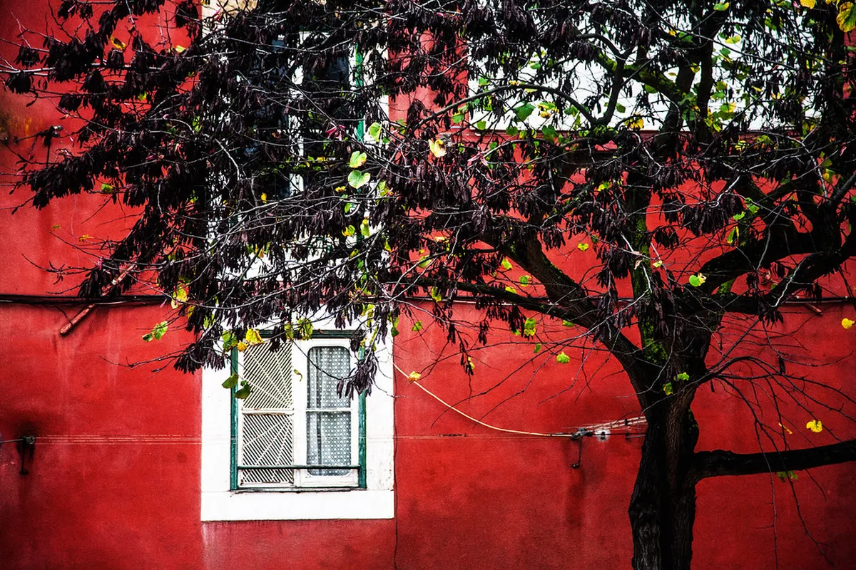 Colorful handcrafted Portuguese ceramics and artisan textiles displayed in a Lisbon lifestyle shop