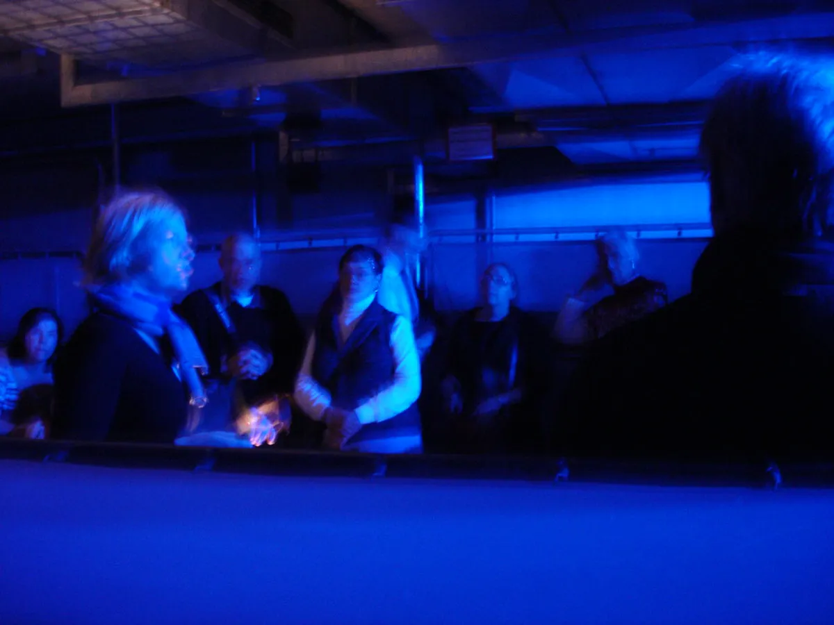 Exploring the Rich History of Chiado Theatre District Lisbon