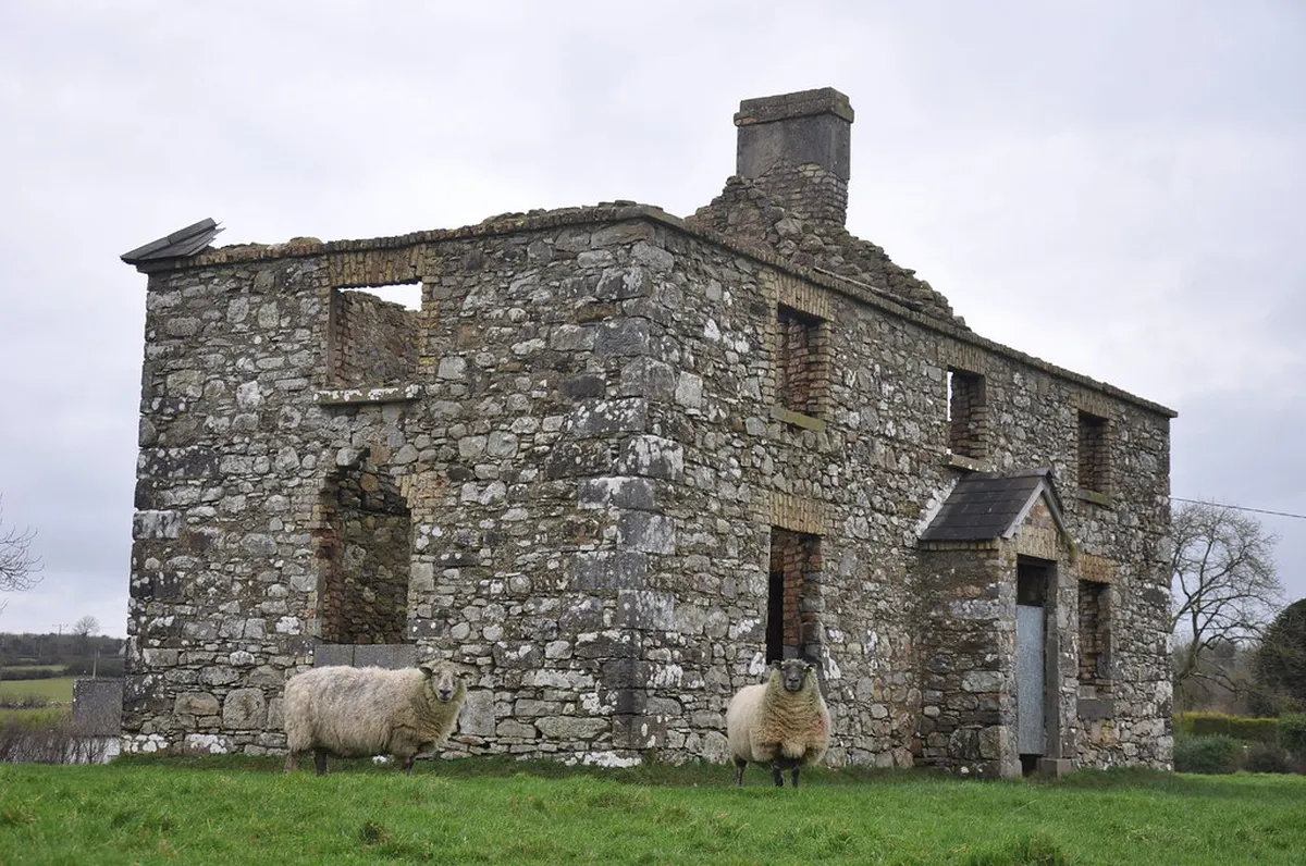 Discover Lisbon's Authentic Fado Shows in 2025