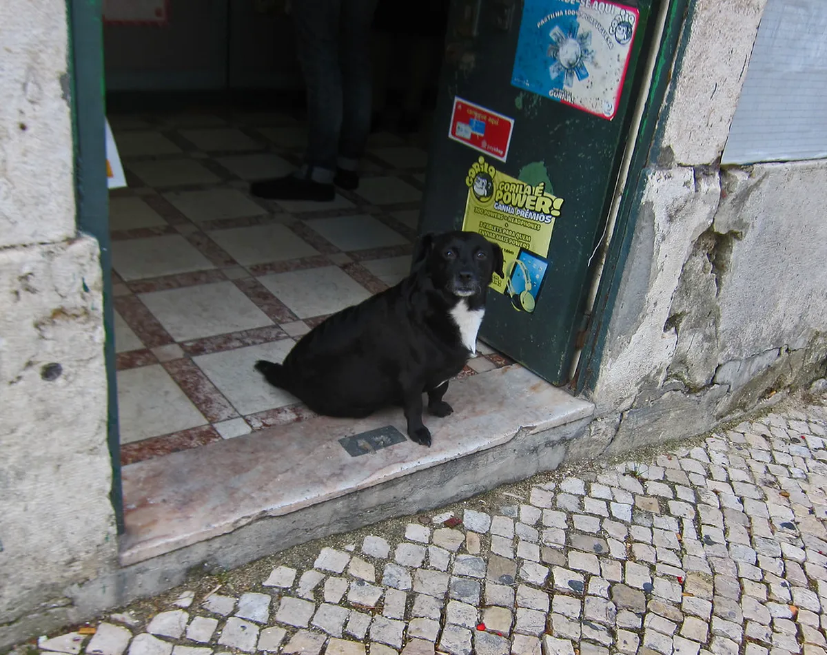 Lisbon Alfama district narrow cobblestone street with traditional tiled buildings leading toward the cathedral