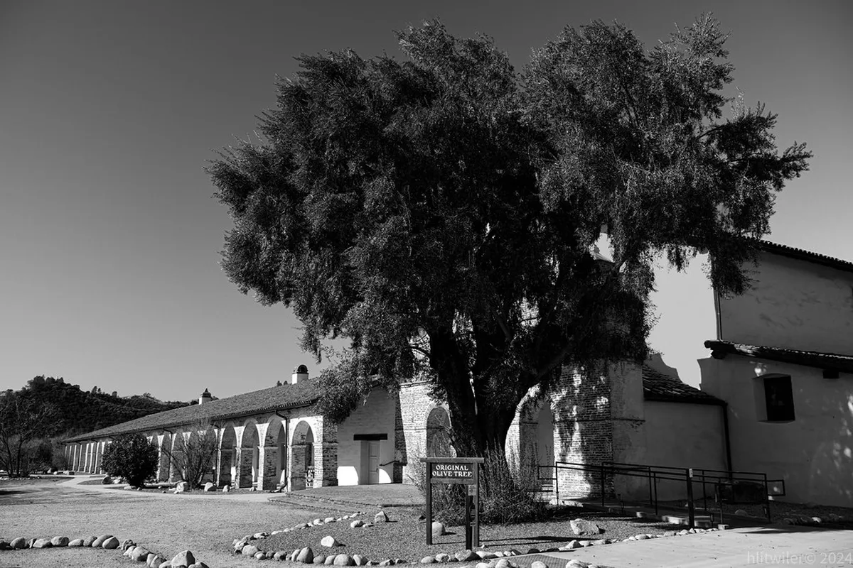 Lisbon Hidden Gems: Discover Secret Patios in 2025