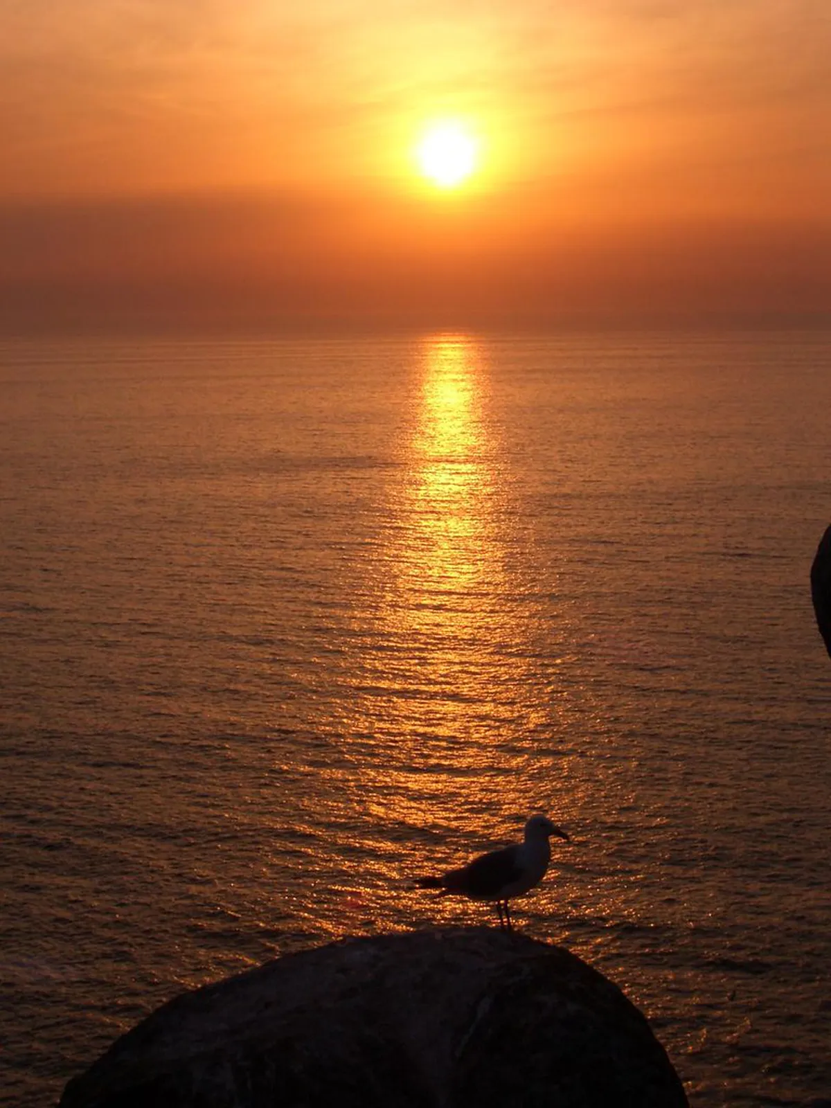 Must-See Baixa Historic Landmarks in Lisbon 2025