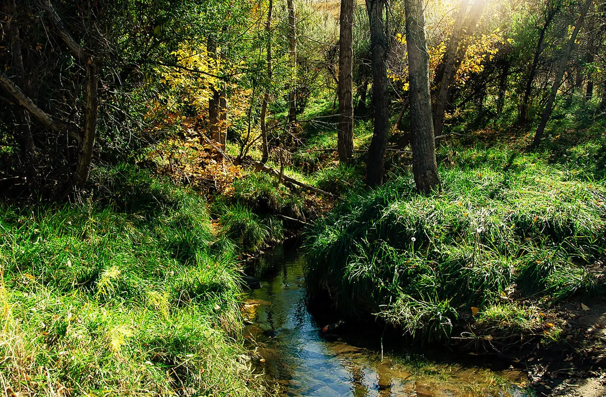 Discover Mouraria Lisbon's Secret Spots in 2025