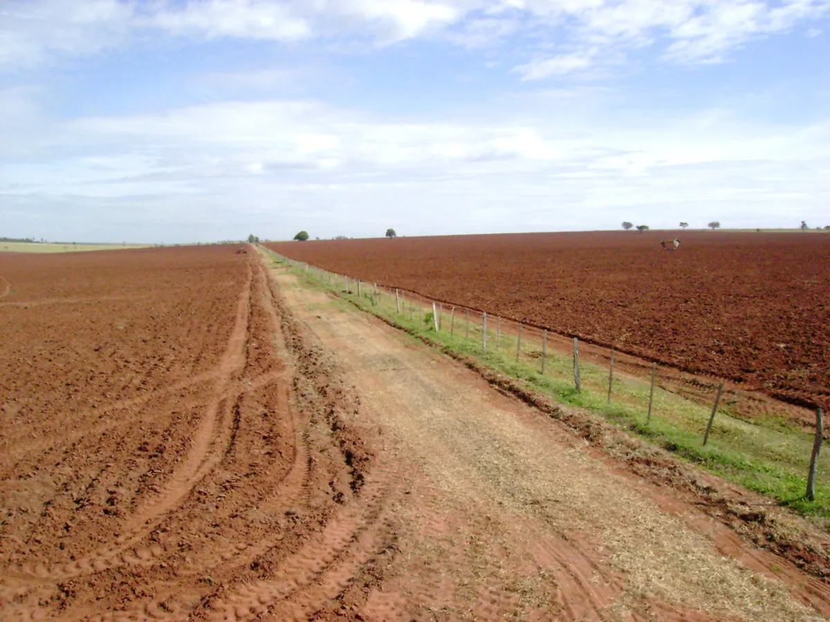Visiting Praça do Comércio Lisbon: Grand Square Guide