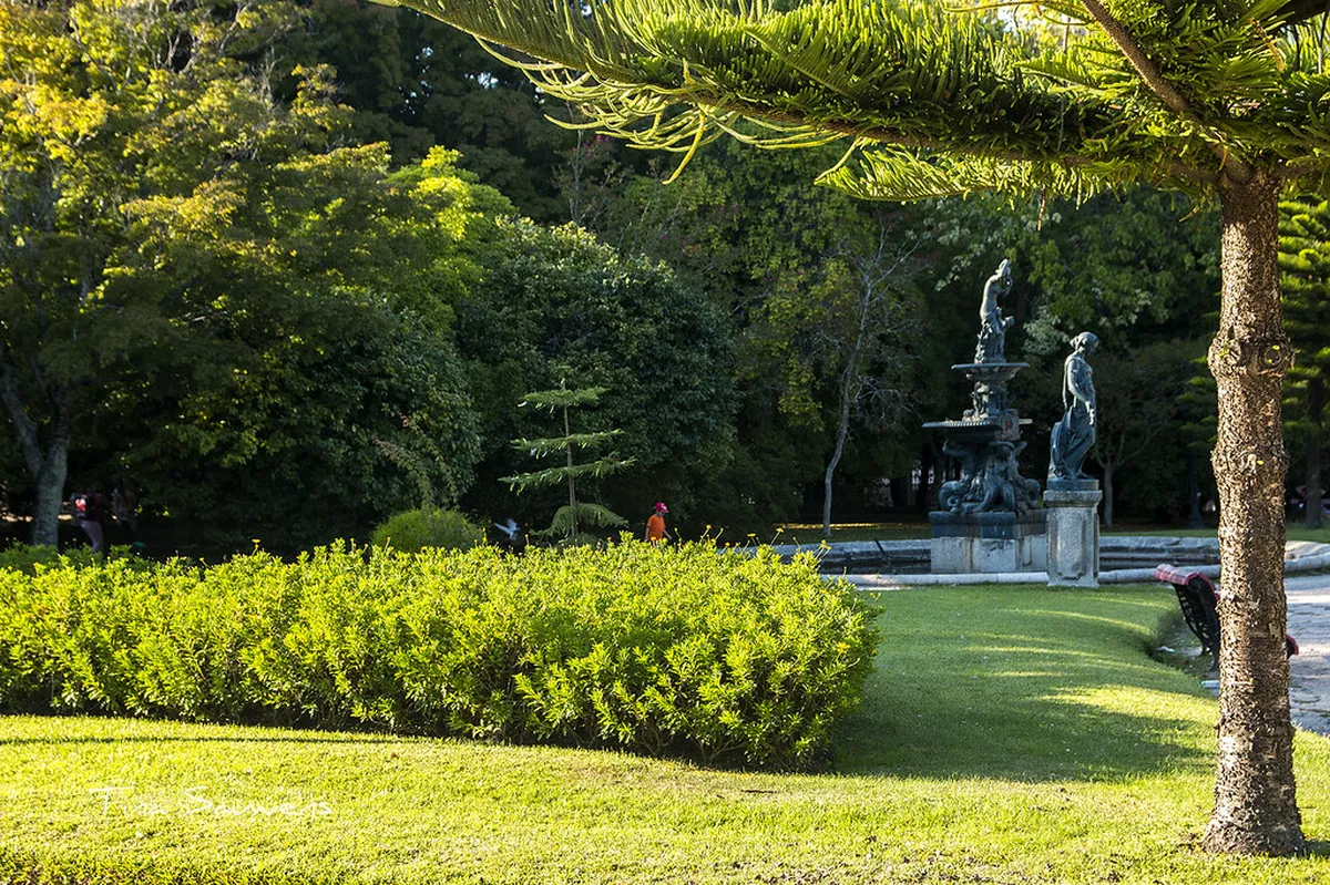 Porto Crystal Palace Gardens with lush greenery and panoramic views of the Douro River valley