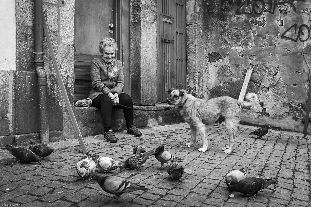 Best Photography Locations in Porto for 2025