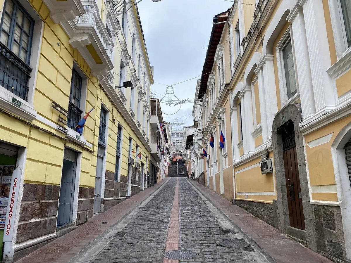 Charming Guesthouses in Porto Historic District for 2025