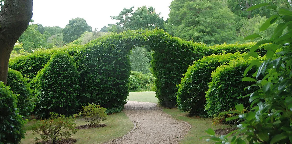 Family Friendly Historic Walks Porto: Discover History in 2025