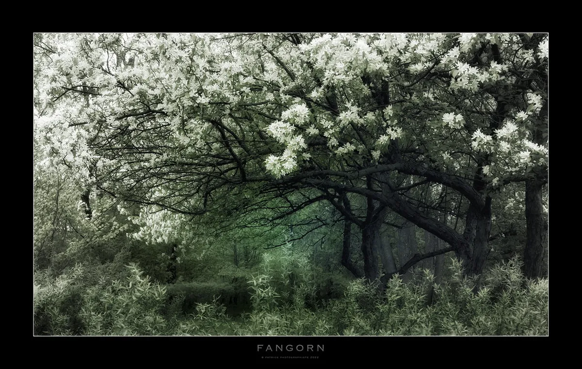 Exploring Porto's Folklore and Myths in 2025