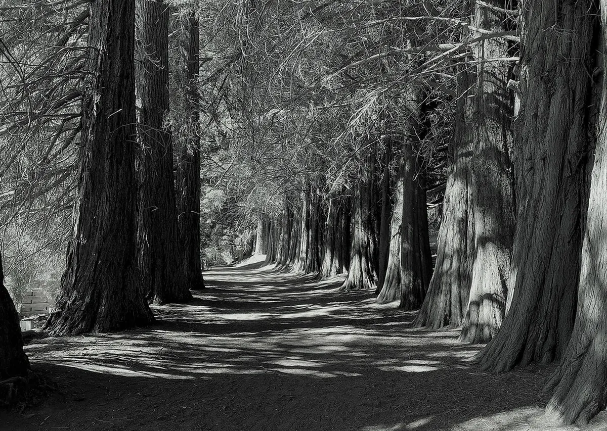 Porto's Secret Viewpoints: Miragaia District Gems